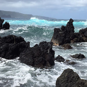 Meet your Posher, Alexandra